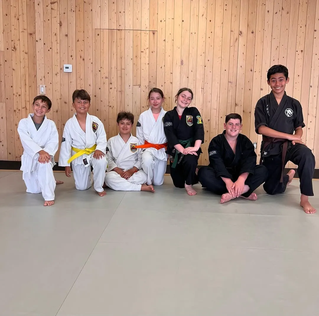 Martial arts students training
